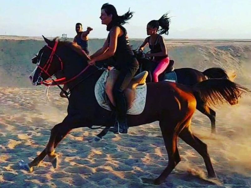 Hurghadai lovas kaland