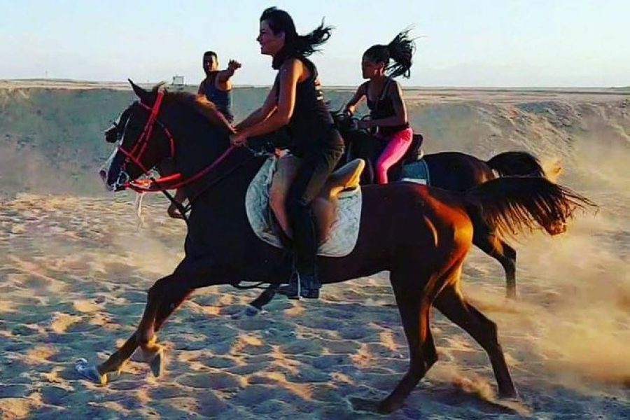Hurghadai lovas kaland